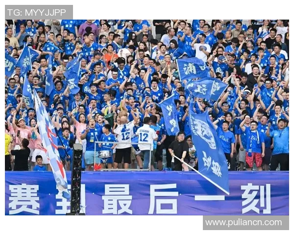 南京排球队技术变革引发热议助力球队新征程