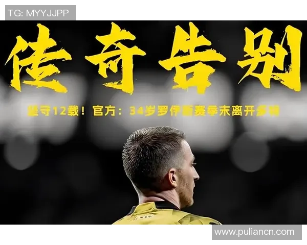 李字开头的足球明星们的辉煌成就与传奇故事全解析